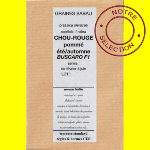 Chou rouge pommé Buscaro F1 copie Chou-rouge pommé été/automne BUSCARO F1