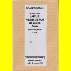 Laitue de pleine terre Reine de Mai copie Laitue - REINE DE MAI (de plein terre)