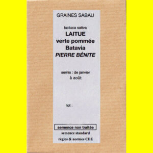 Laitue verte pommée Batavia Pierre Bénite copie Laitue - PIERRE BENITE (Verte Pommée Batavia)