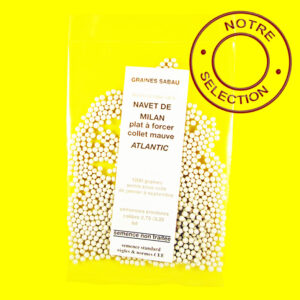 Navet de Milan - Atlantic Navet de Milan - ATLANTIC (semences enrobées)