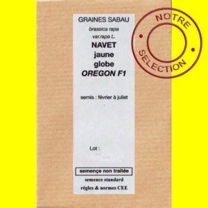 Navet jaune globe Oregon F1 copie Navet - OREGON F1 (graines nues)
