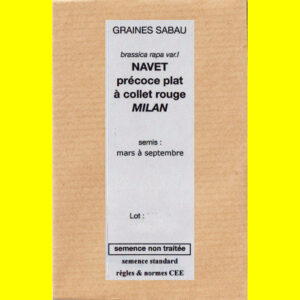 Navet précoce plat Milan copie Navet - MILAN (rouge)