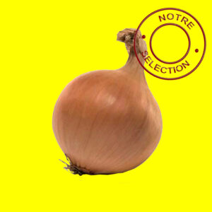 Oignon-CENTURION Bulbilles d'oignon jaune hatif - CENTURION 14/21