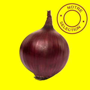 Oignon-RED-RAY Bulbilles d'oignon rouge hatif - REDRAY