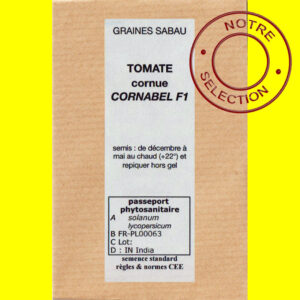 Tomate cornue Cornabel F1 copie Tomate cornue - CORNABEL F1