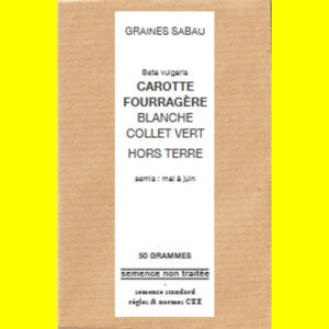 carotte fouragere blanche collet vert hors terre copie Carotte fourragère - blanche à collet vert