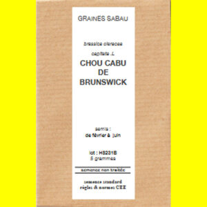 chou cabu de brunswick copie Chou cabus - BRUNSWICK (blanc)