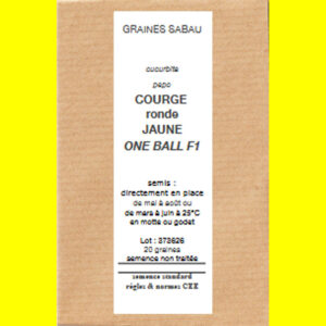 courge ronde jaune one ball F1 copie Courge jaune One Ball F1