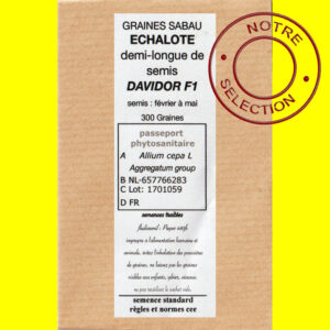 echalote demi longue DAVIDOR F1 Echalotte - DAVIDOR F1