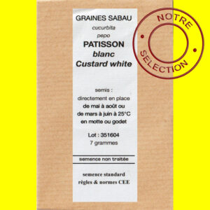 patisson blanc custard white Courgette - Patisson blanc CUSTARD WHITE