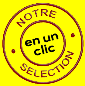 Filet de protection très solide en 10 mètres de large.