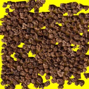 Betterave fourragère - BRIGADIER (orange)