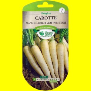Carotte-Blanche-à-collet-ve Carotte fourragère - GIANT WHITE BELGIAN (blanche à collet vert) (6gr)