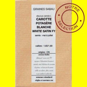 Carotte - WHITE SATIN F1 (blanche)