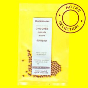 Chicorée pain de sucre - SUMERO (semences enrobées)