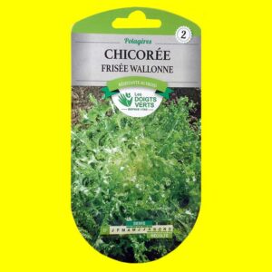 Chicorée frisée - WALLONE (3gr)