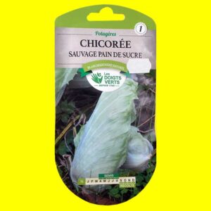 Chicorée-pain-de-sucre Chicorée feuille - PAIN DE SUCRE (4gr)