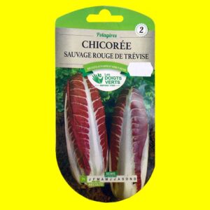 Chicorée-rouge-de-trévise Chicorée feuille - ROUGE DE TREVISE (6gr)