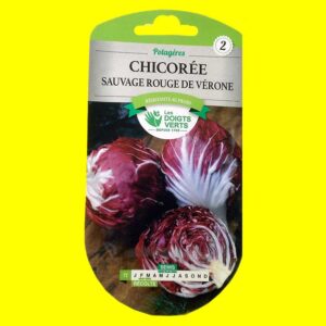 Chicorée-sauvage-rouge-de-v Chicorée feuille - ROUGE DE VERONE (6gr)