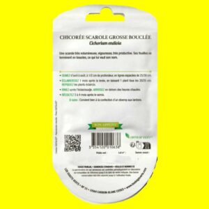 Chicorée scarole - GROSSE BOUCLEE (3gr)
