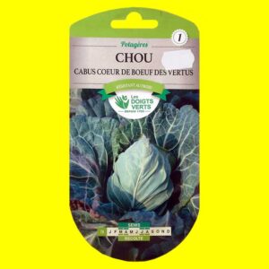 Chou-cabus-coeur-de-boeuf-d Chou cabu - COEUR DE BOEUF (3gr)
