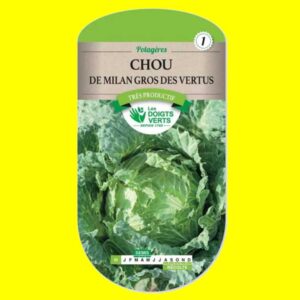 Chou-de-milan-gros-des-vert Chou de Milan - DES VERTUS / QUINTAL (vert) (5gr)