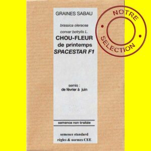 Chou-fleur - SPACESTAR F1 (printemps/été)