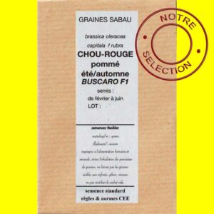 Chou-rouge-pommé-Buscaro-F1 Chou-rouge pommé été/automne BUSCARO F1