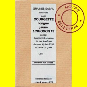 Courgette - LINGODOR F1 (Longue Jaune)