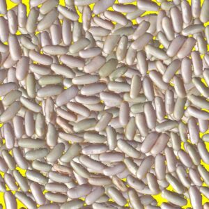 Haricot sec - FLAVERT
