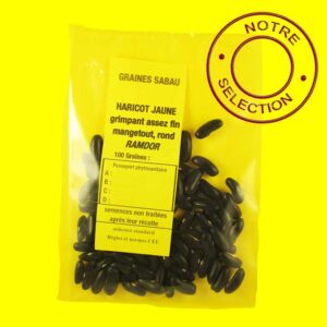 Haricot-jaune---Ramdor Haricot jaune mangetout plat - RAMDOR