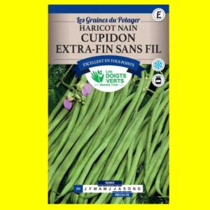 Haricot-nain-Cupidon-Extra- Haricot Mangetout Vert Nain - CUPIDON (150gr)