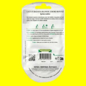 Laitue Batavia verte - Blonde bord rouge (4gr)