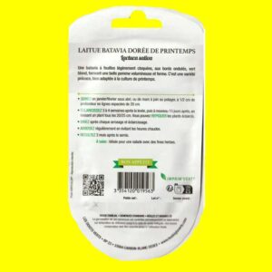 Laitue Batavia verte - Doré de printemps (2,5gr)