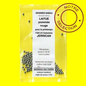 Laitue rouge - JERRICAN (semences enrobées)