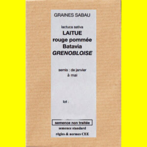 Laitue Batavia rouge - GRENOBLOISE