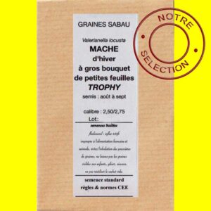 Mâche-d'hiver-Trophy-copie Mâche d'hiver - TROPHY