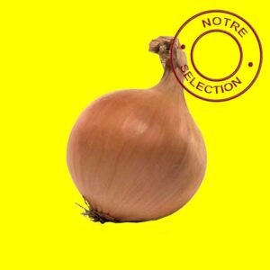 Bulbilles d'oignon jaune hatif - CENTURION 14/21