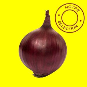 Bulbilles d'oignon rouge hatif - REDRAY