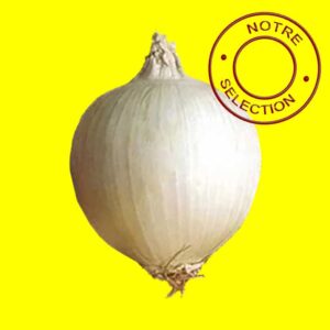 Bulbilles d'oignon blanc hatif - SNOWBALL 14/21