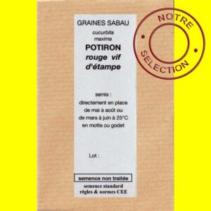 Potiron-rouge-vif-d'Etampe- Potiron - Rouge vif d'Etampes