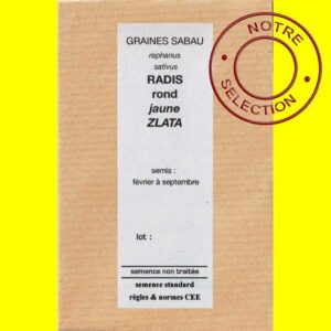 Radis-rond-jaune-Zlata-copi Radis rond Jaune - ZLATA