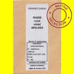Radis-rond-violet-Malaga-co Radis rond Violet - MALAGA (15gr)