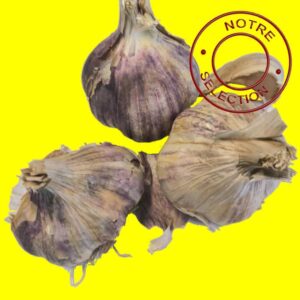 Ail violet d'hiver GERMIDOUR 60/80