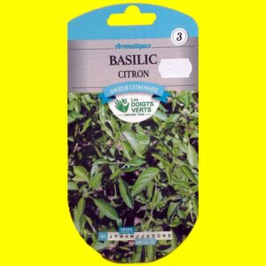 basilic-citron Basilic - Citron (1gr)