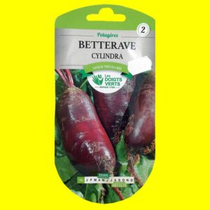 Betterave potagère - CYLINDRA (7g)