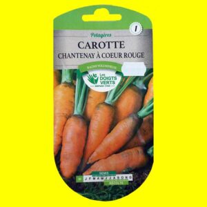 carotte-chantenay-a-coeur-r Carotte - CHANTENAY (6gr)