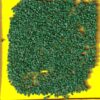 carotte-maestro-f1 Carotte - MAESTRO F1 (de conservation)