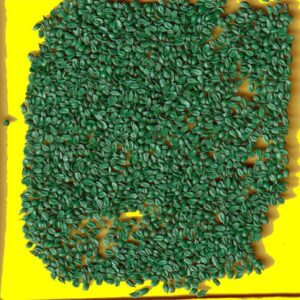 carotte-maestro-f1 Carotte - MAESTRO F1 (de conservation)