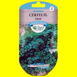 cerfeuil-frise Cerfeuil - FRISE (10gr)